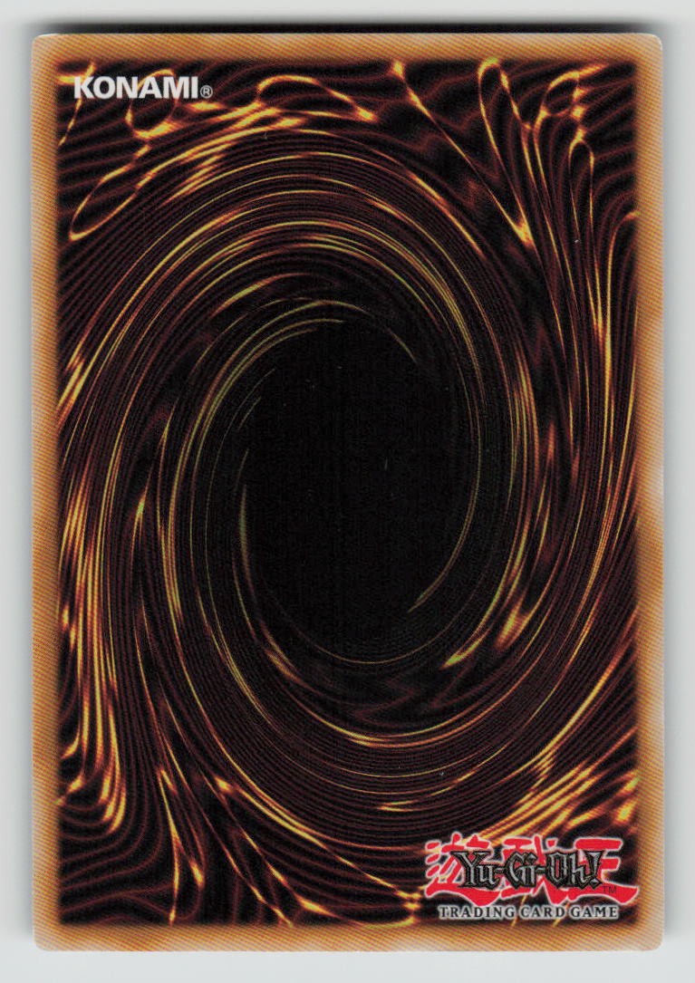 Blackwing - Elphin the Raven (Back)