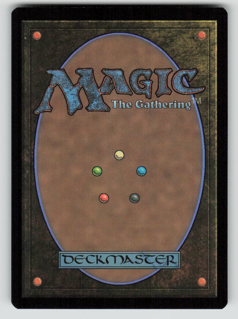 Reckless Ransacking (Back)