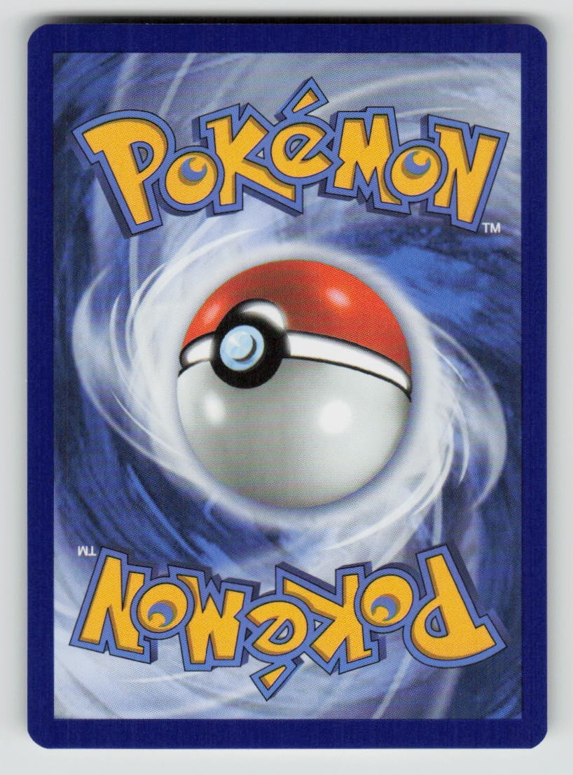 Tepig (Back)