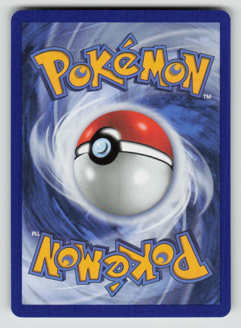 N's Zorua (Energy Symbol Pattern) (Back)