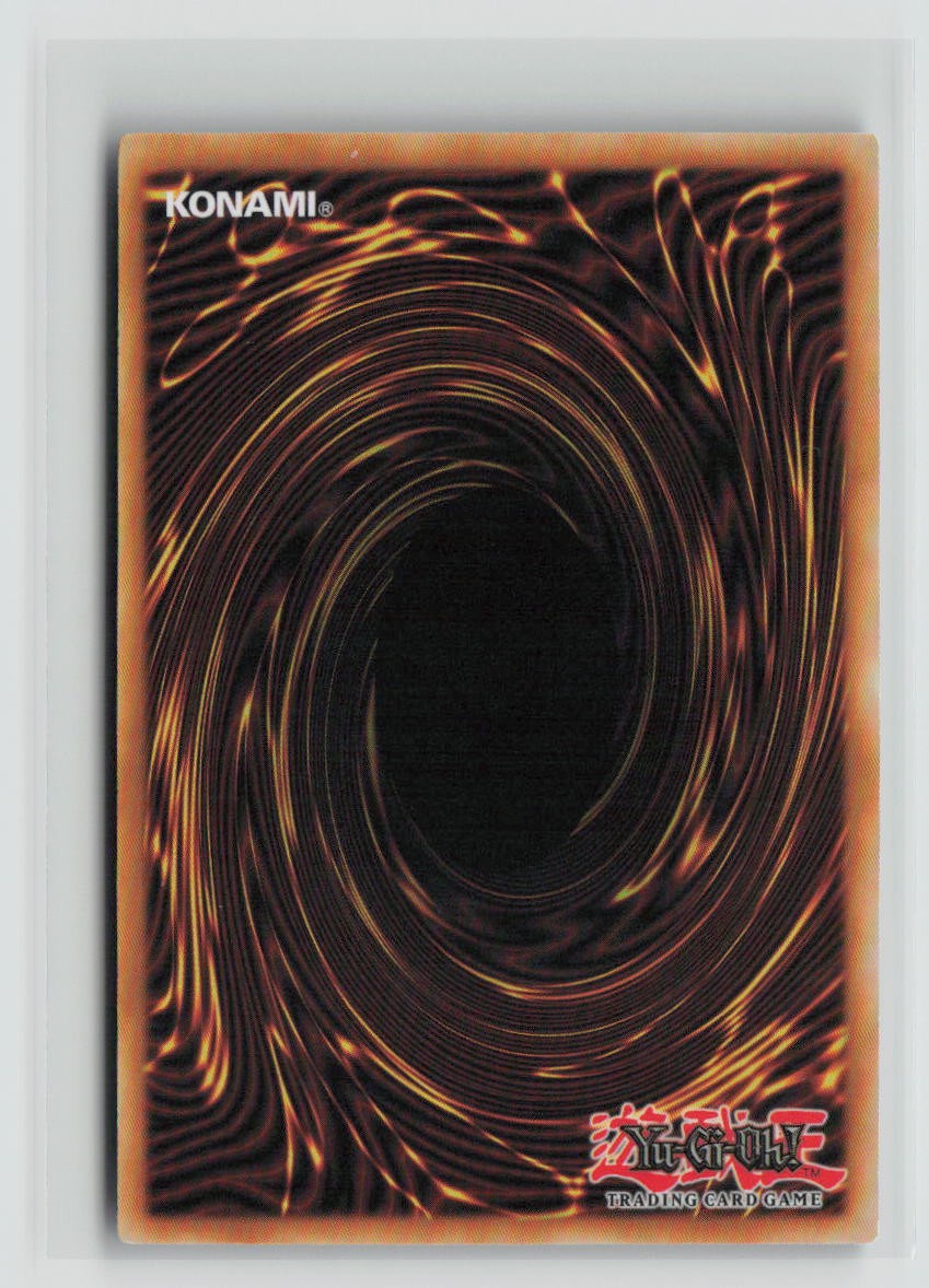 Foolish Burial (Back)