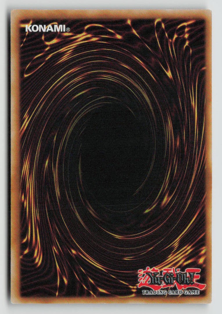 Distrust Paranoia (Back)