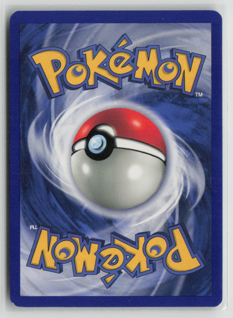 Vermilion City Gym (Back)