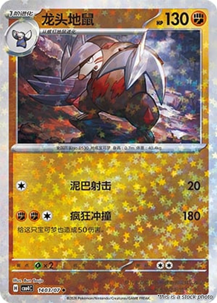 Excadrill - 14 03