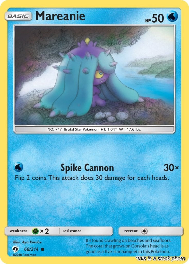 Mareanie (68)