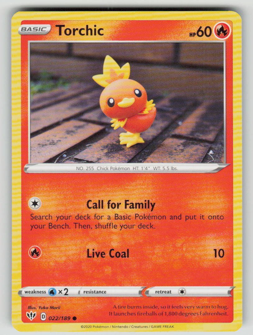 Torchic