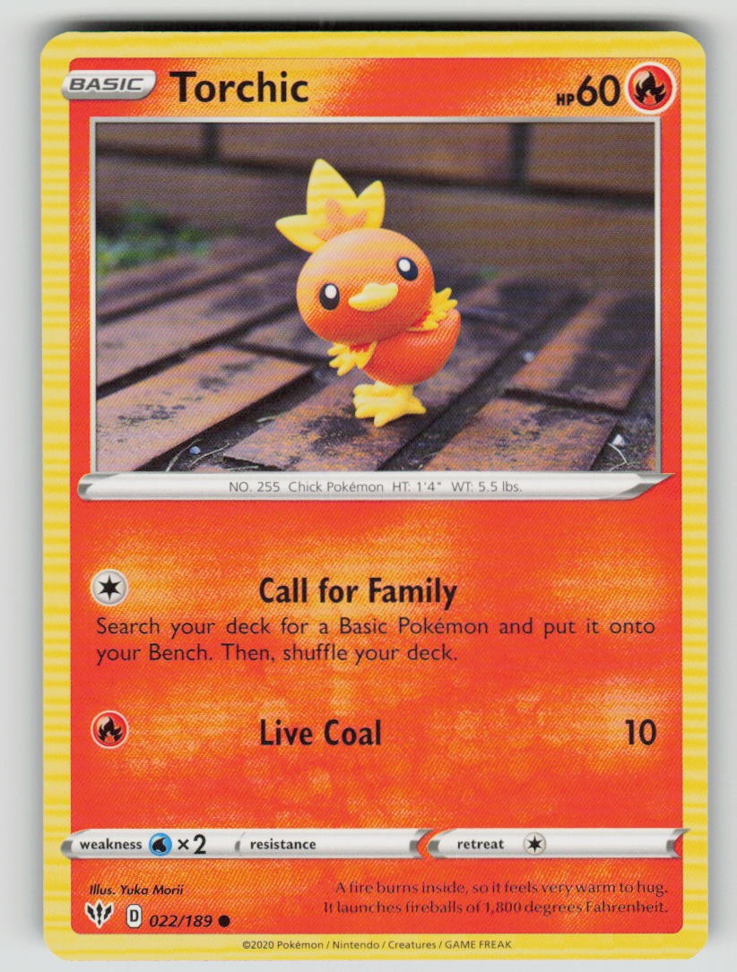 Torchic