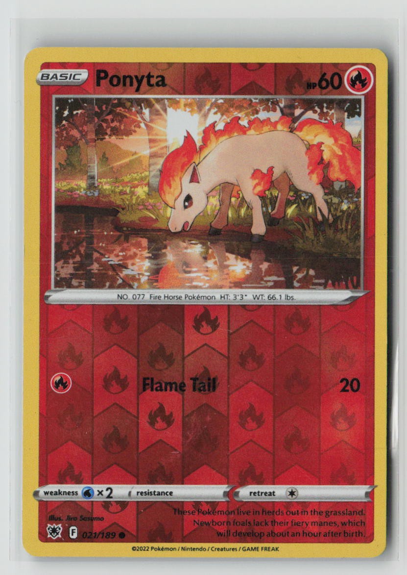 Ponyta