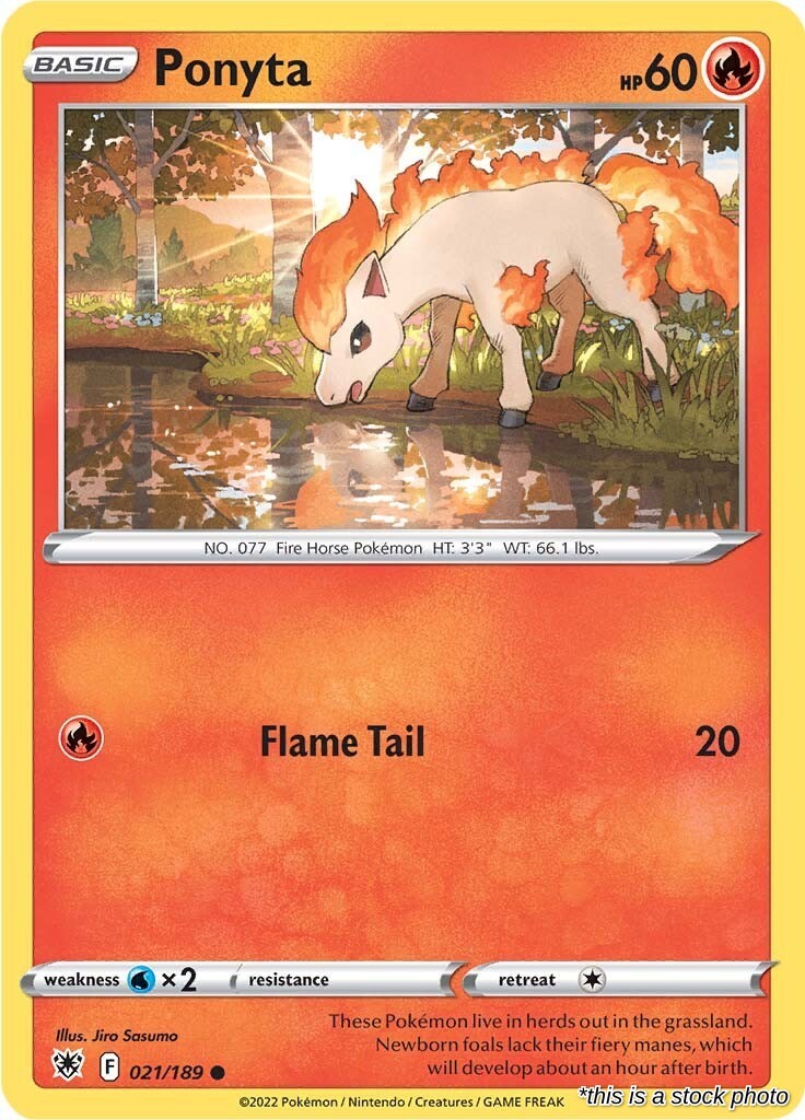Ponyta