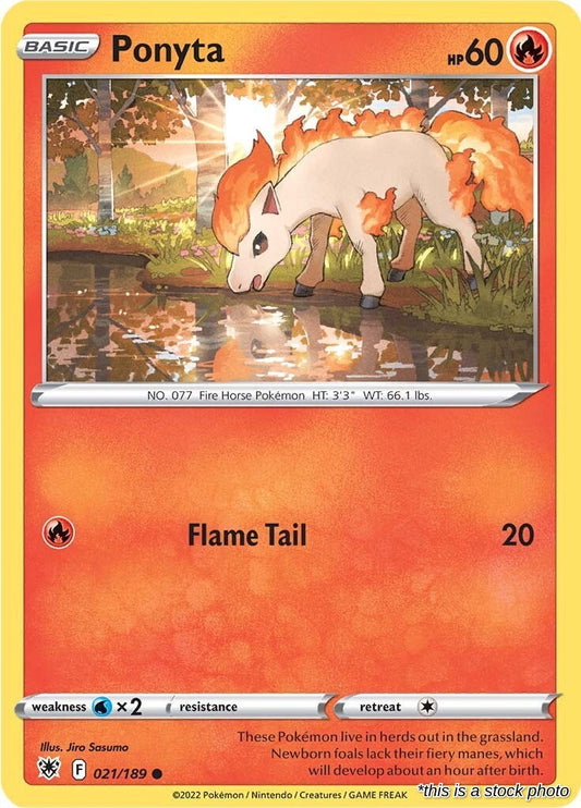Ponyta