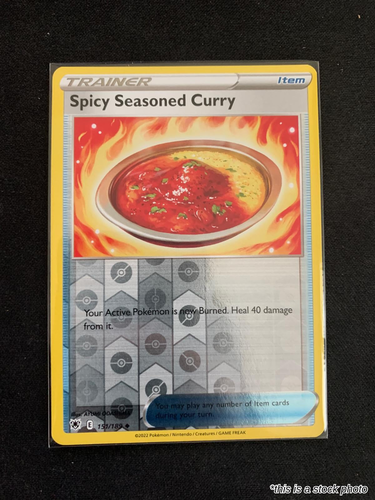 Spicy Seasoned Curry