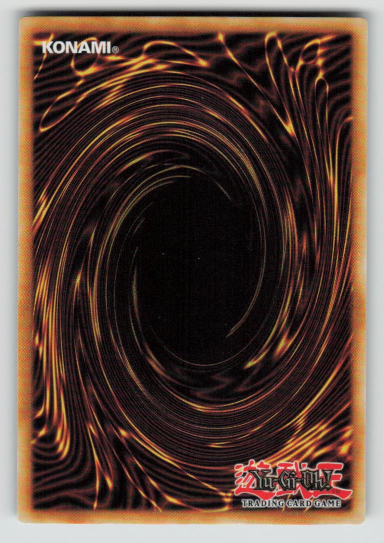 Bahamut Shark (Back)