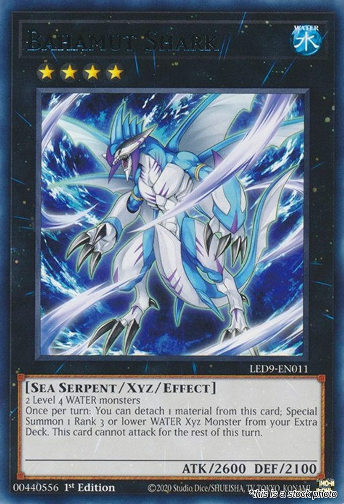 Bahamut Shark