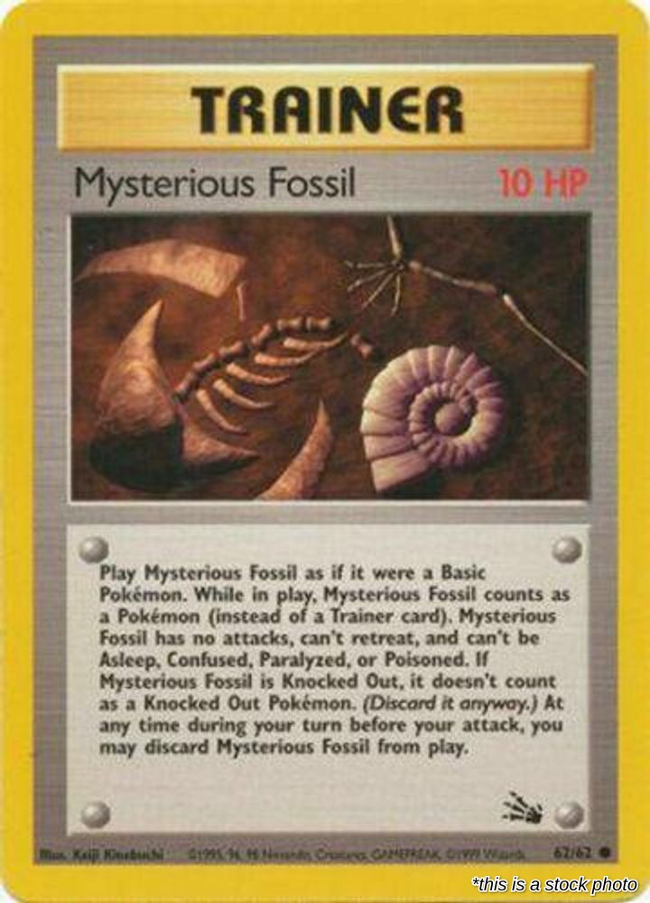 Mysterious Fossil