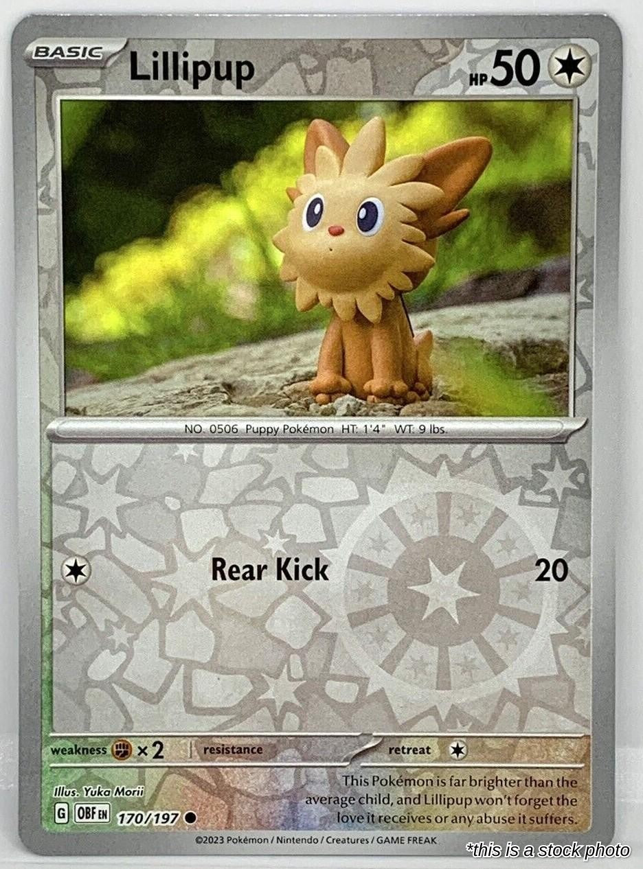 Lillipup