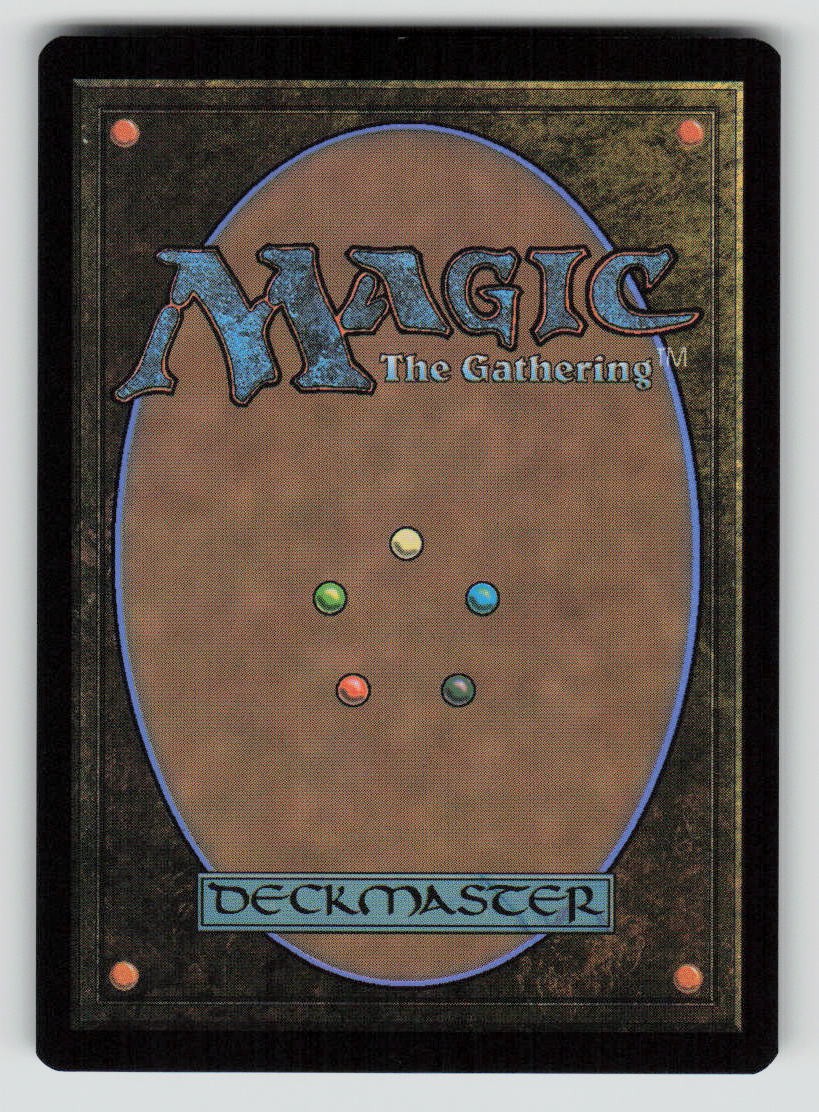 Hoarder's Overflow (Back)
