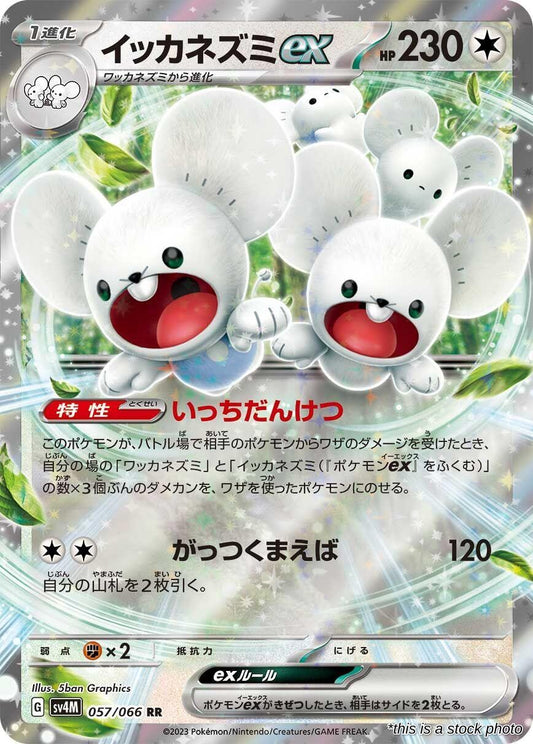 Maushold ex - 057/066