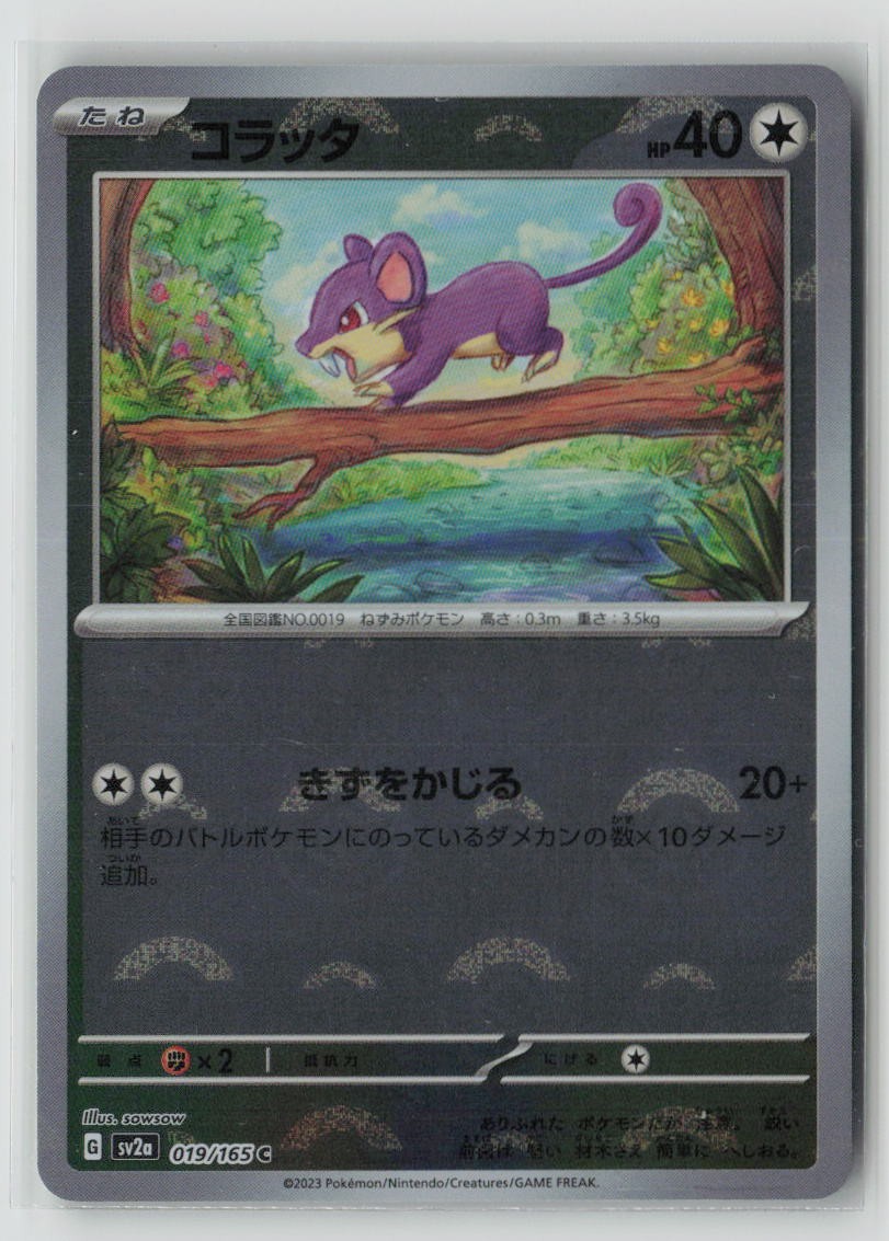 Rattata (Poke Ball Pattern)