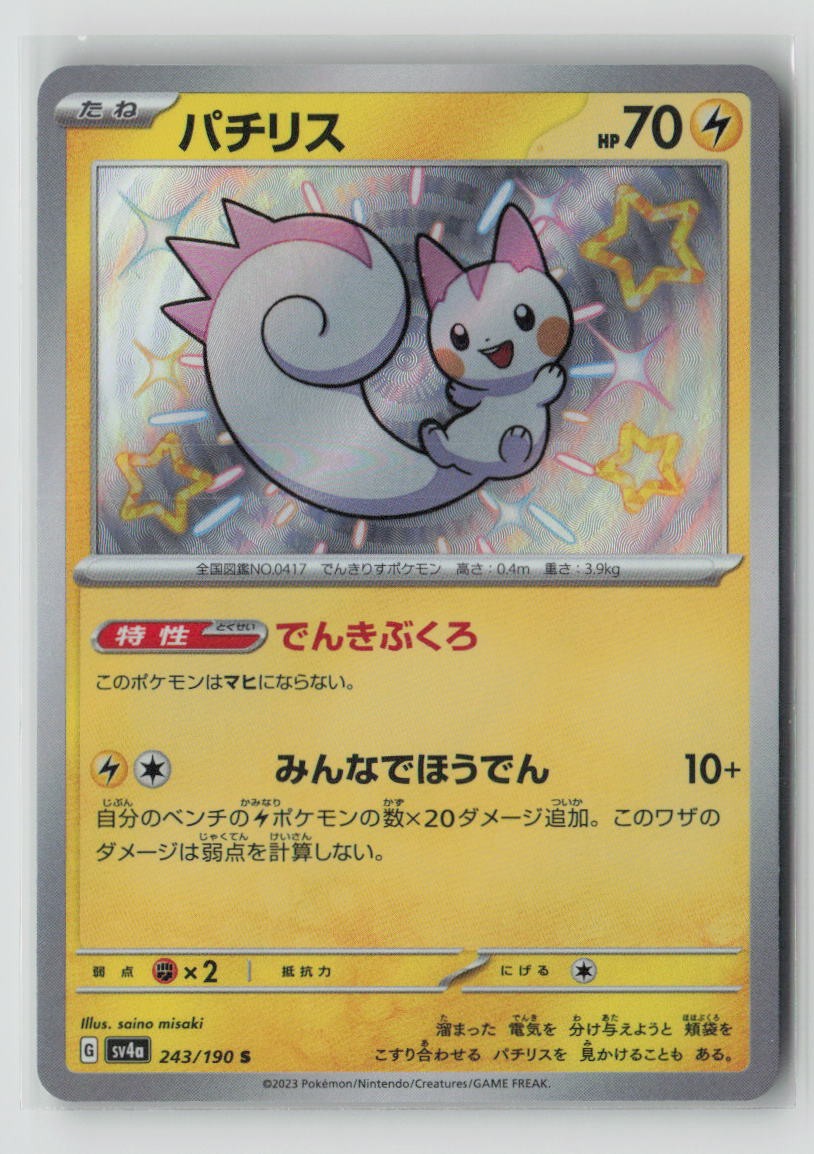 Pachirisu - 243/190