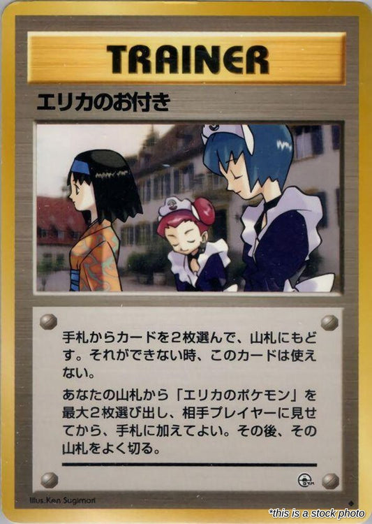 Erika's Maids