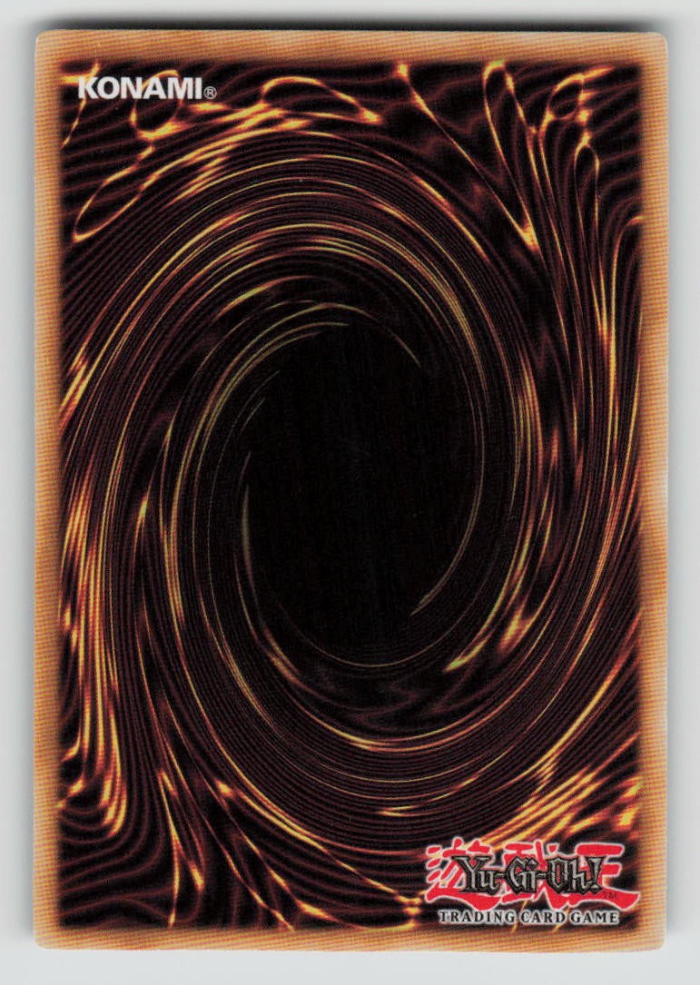 Evoltile Casinerio (Back)