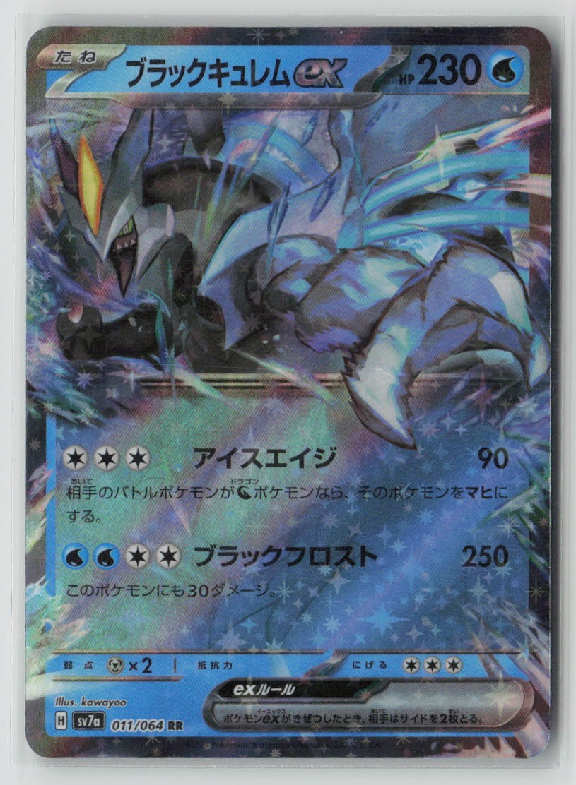 Black Kyurem ex - 011/064