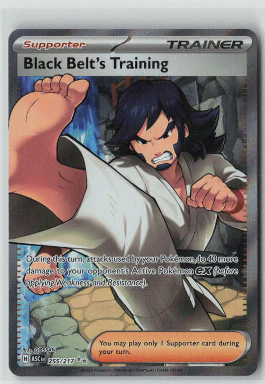 Black Belt's Training - #255/217 ME: Ascended Heroes