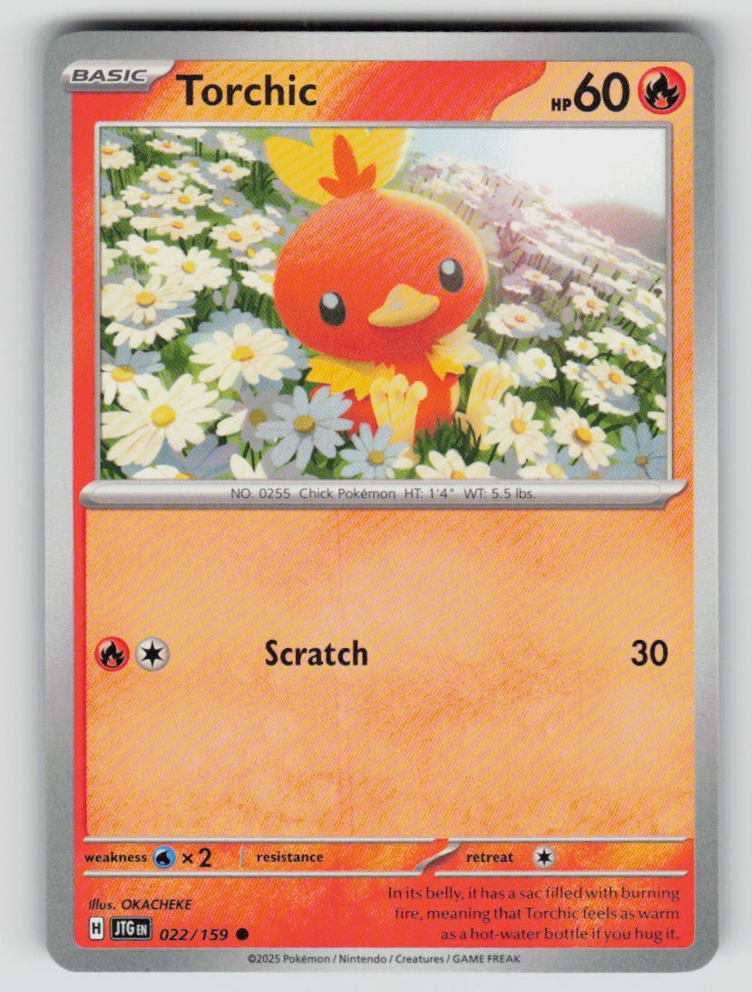 Torchic