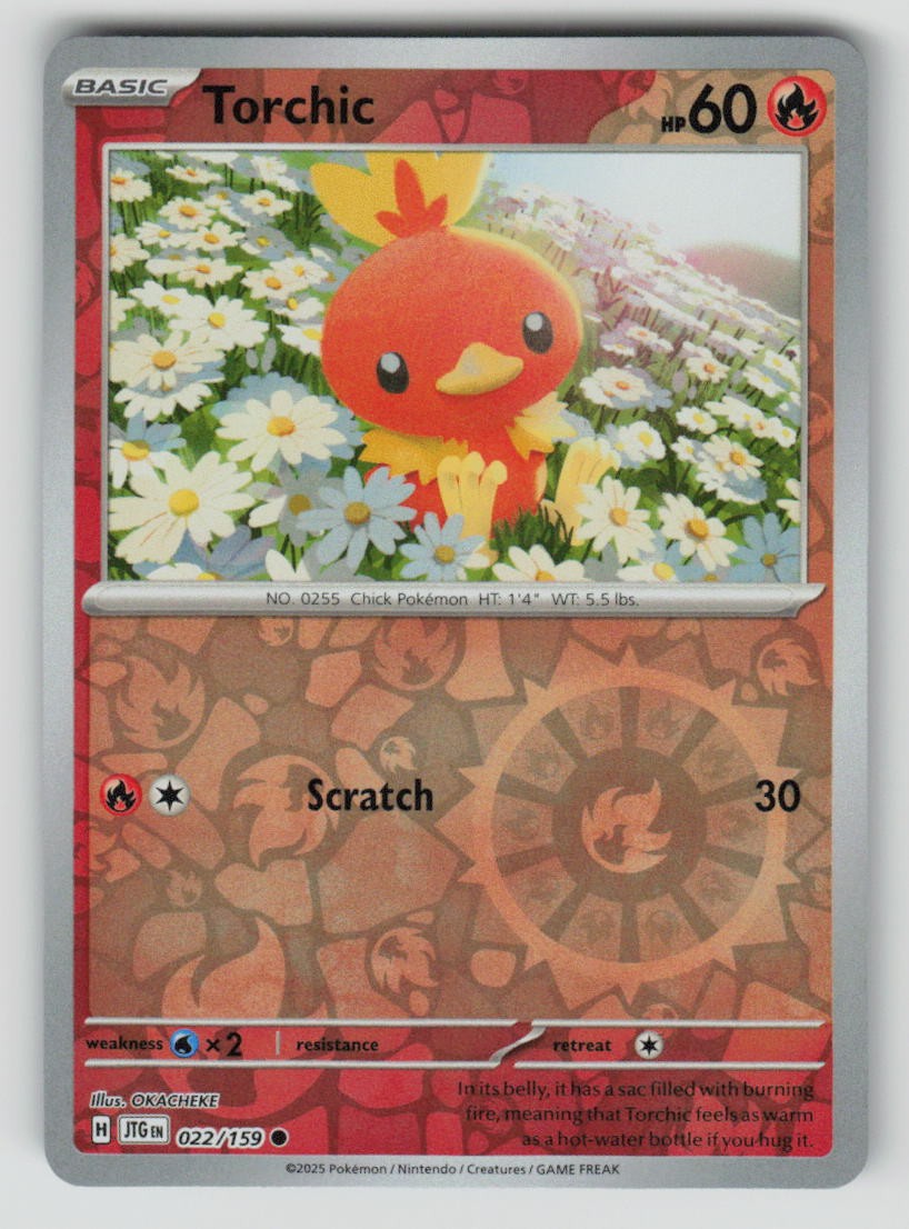 Torchic