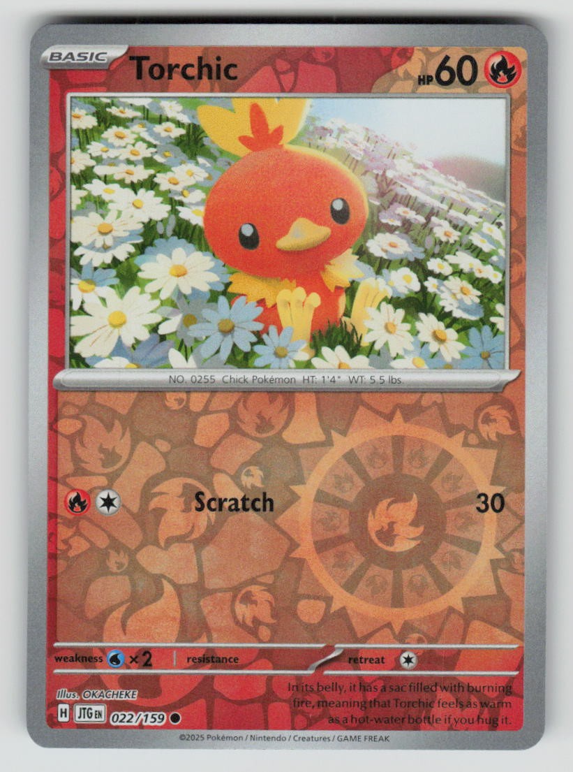 Torchic