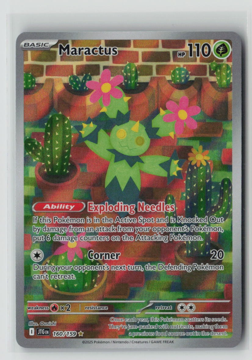 Maractus - 160/159