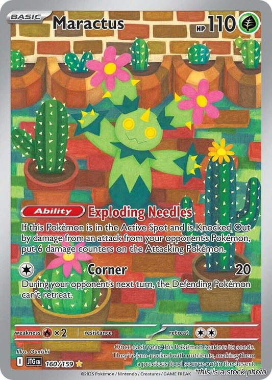 Maractus - 160/159