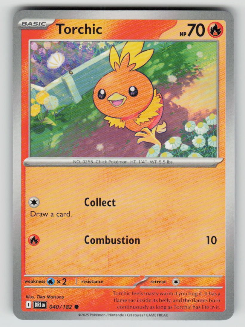 Torchic
