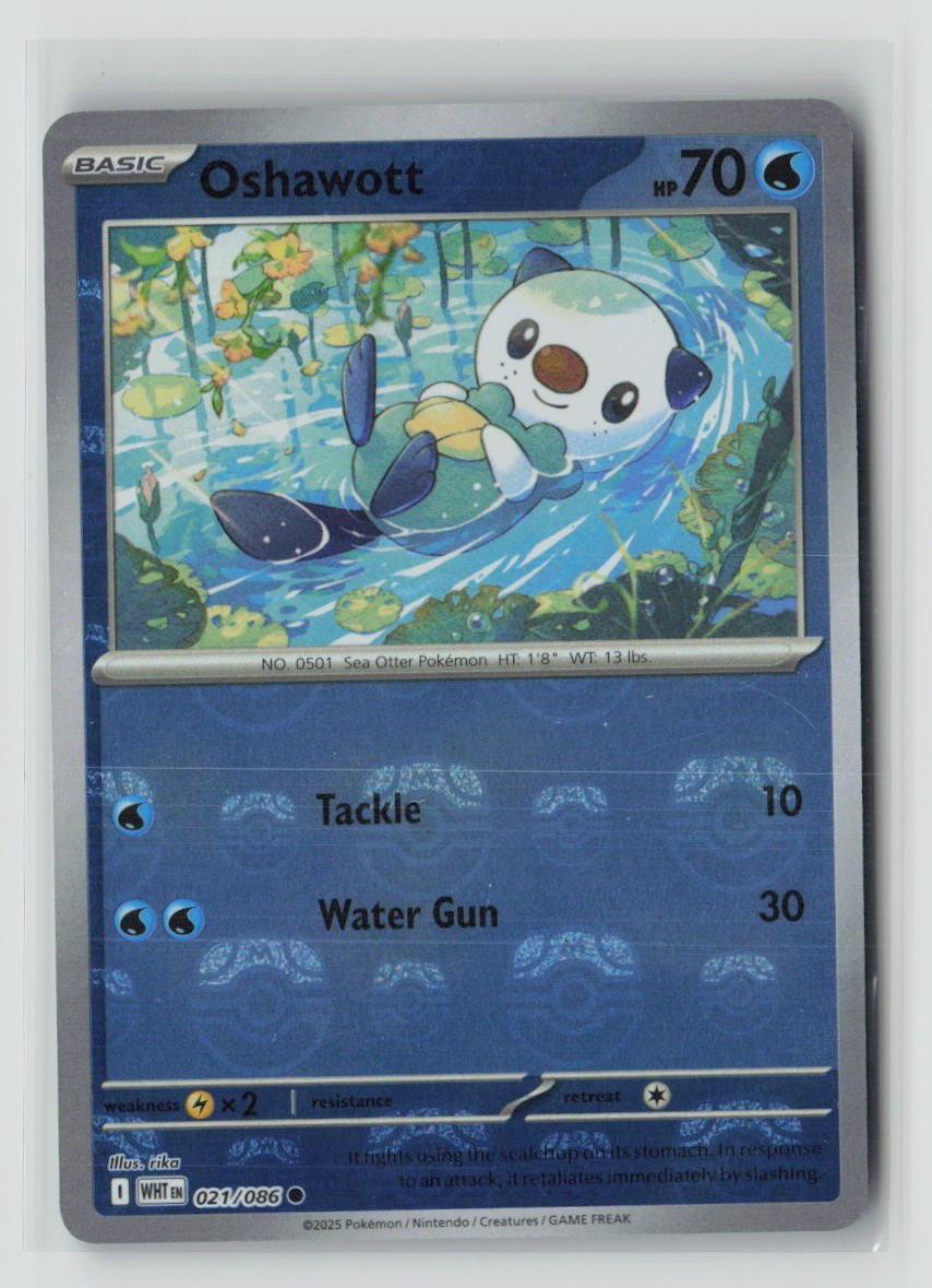 Oshawott (Master Ball Pattern)