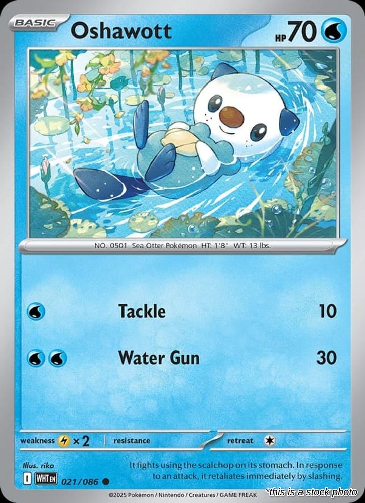 Oshawott (Master Ball Pattern)