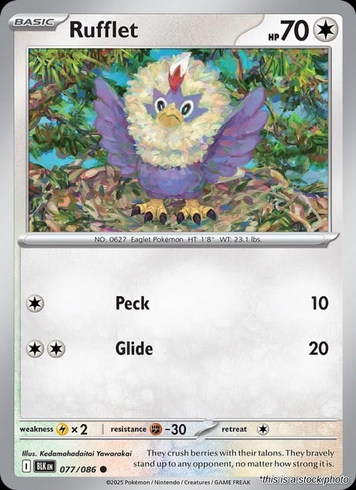 Rufflet (Master Ball Pattern)
