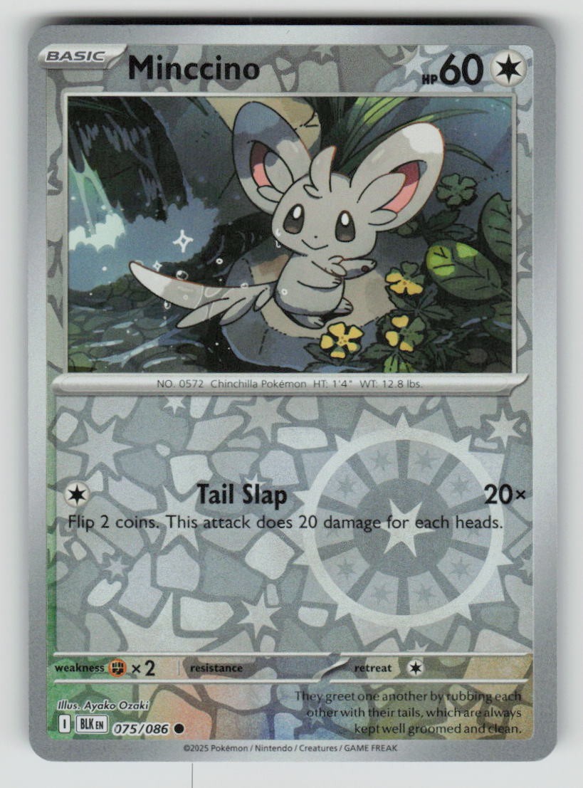 Minccino