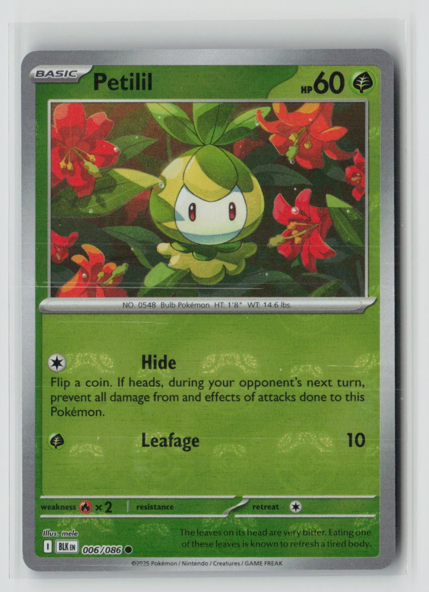 Petilil (Master Ball Pattern)