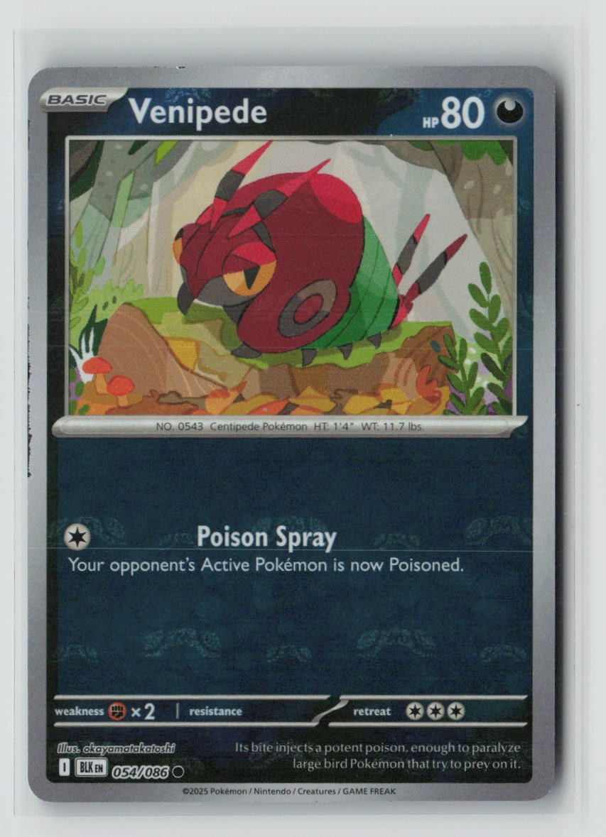 Venipede (Master Ball Pattern)