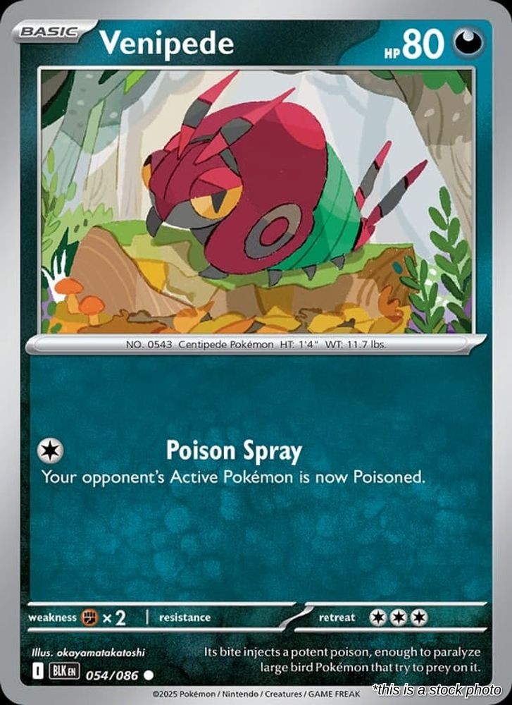 Venipede (Master Ball Pattern)