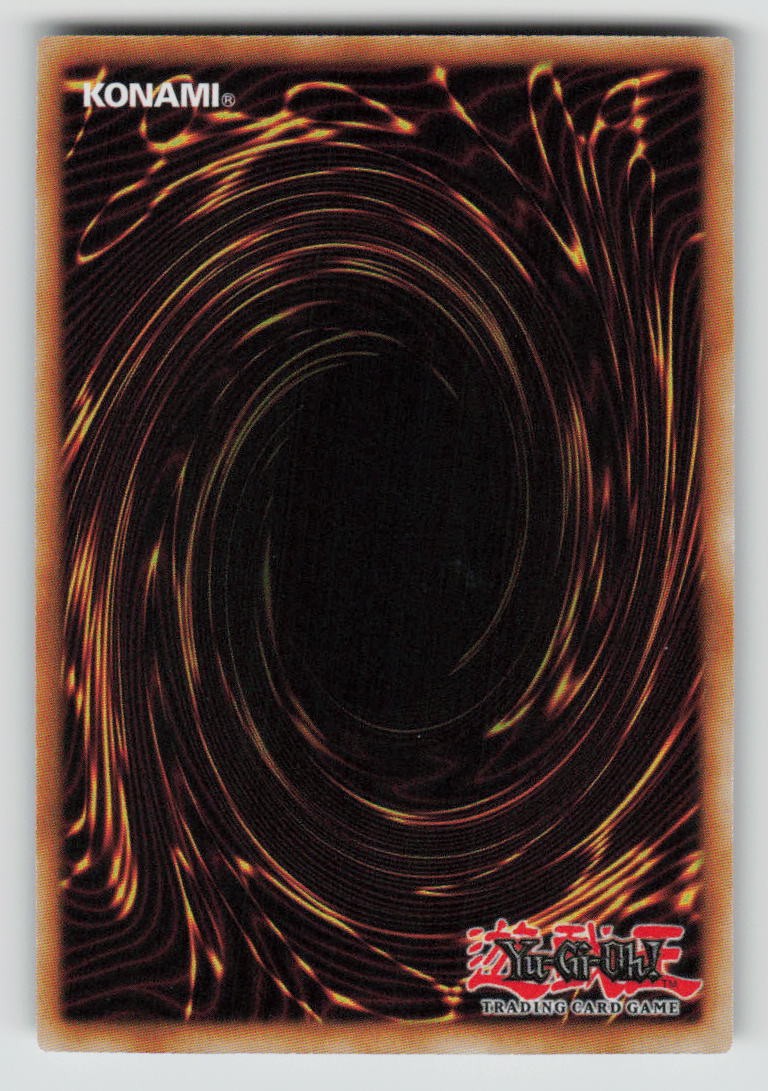 Torrential Tribute (Back)