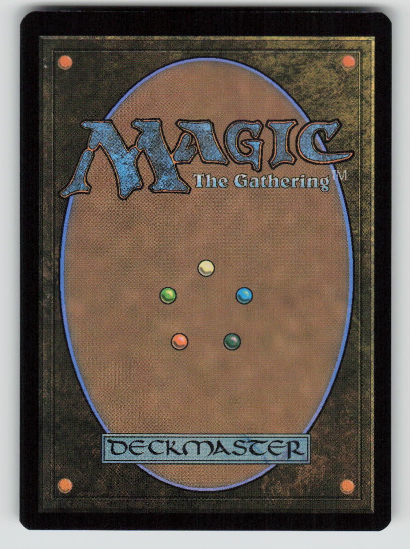 Mistmeadow Council (Back)