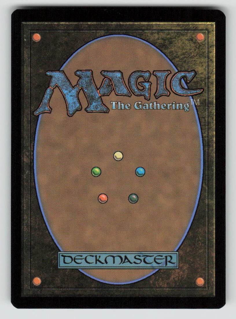 Blight Rot (Back)