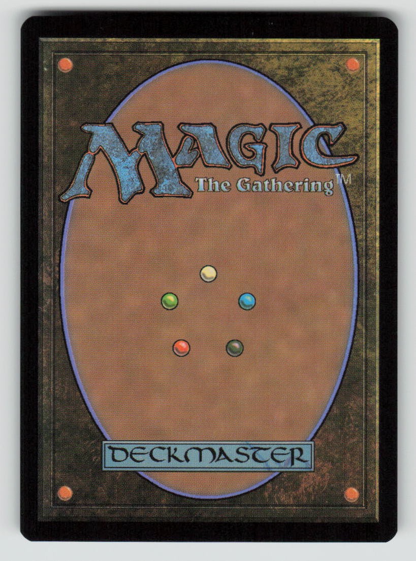 Twinflame Travelers (Back)