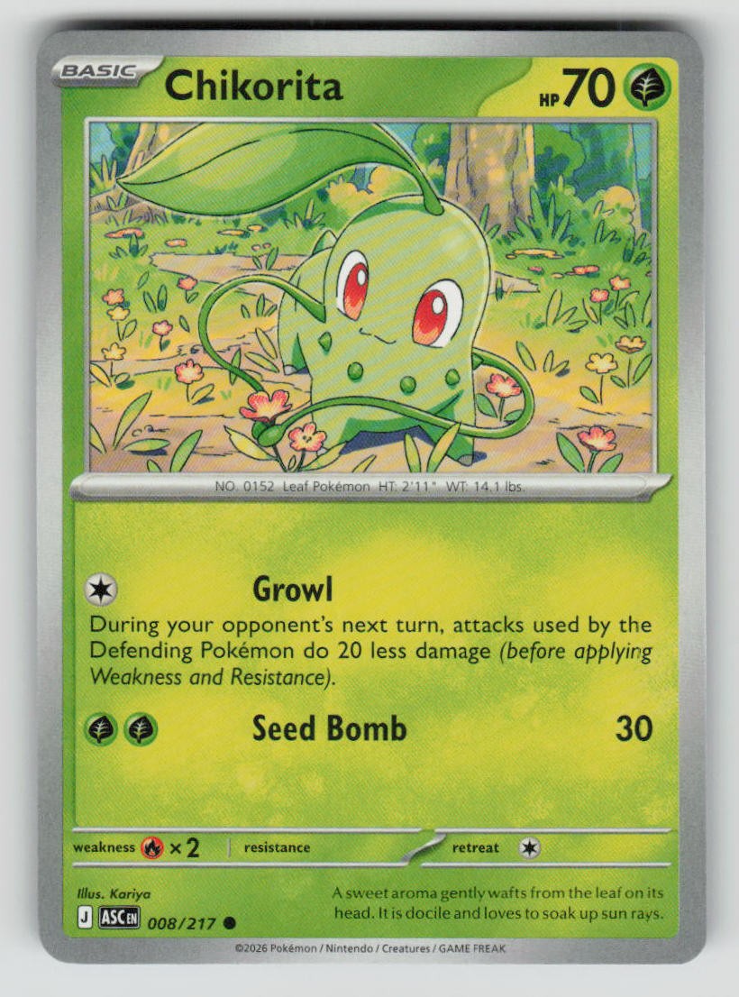 Chikorita