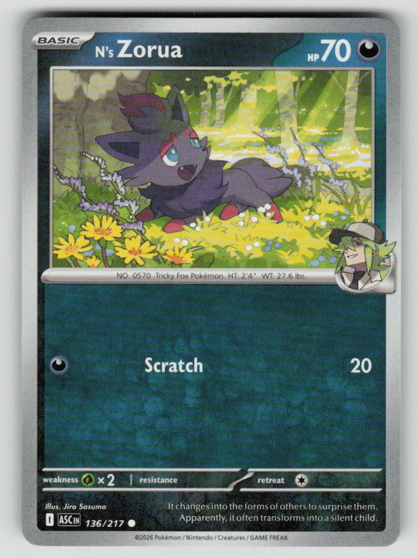 N's Zorua