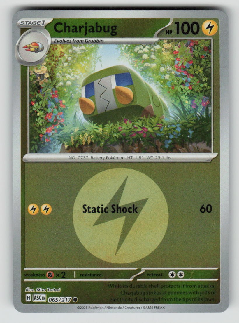 Charjabug (Energy Symbol Pattern)