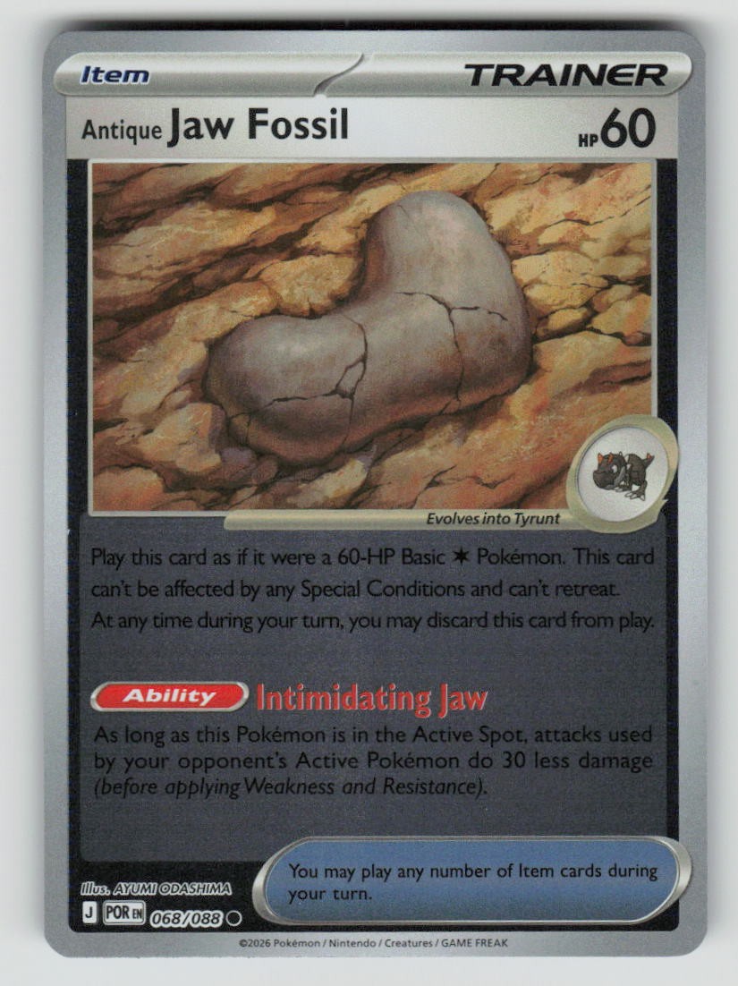 Antique Jaw Fossil
