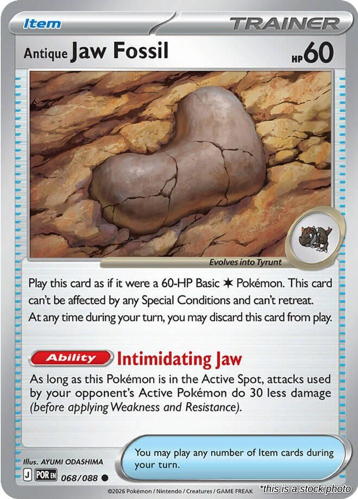 Antique Jaw Fossil