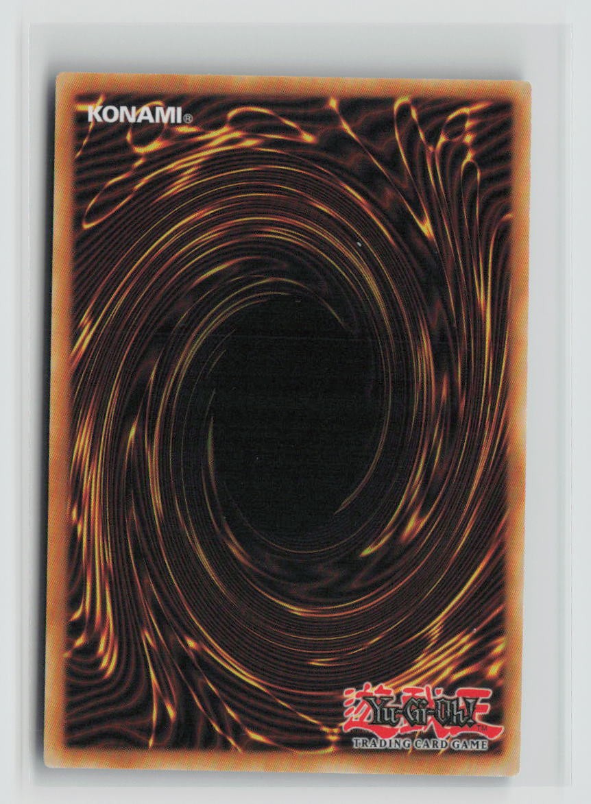 D/D Count Surveyor (Ultra Rare) (Back)